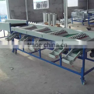 Electronic Fruit Sorting Machine thumbnail-3