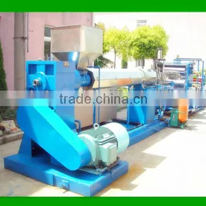 Plastic Sheet Extruder Machine thumbnail-1