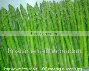 IQF Green Asparagus Tip and Spear thumbnail-1