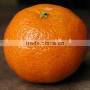 Mandarin thumbnail-1