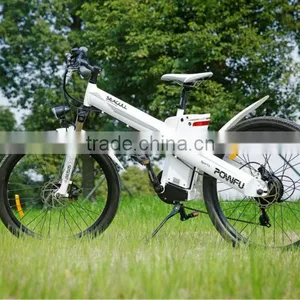 Seagull GL-China Factory EN15194 Bikes Electric E-bike Mid Drive thumbnail-1