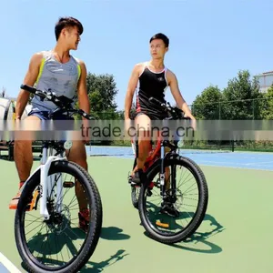 Haoling Seagull 48v 500w Electric Bike , Electric Bike 500w thumbnail-5
