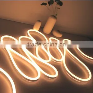2700K Led Neon 240V 120V 24V 12V thumbnail-3