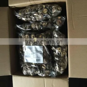 1000g Cogumelo Shiitake Seco ( CAP 4-6 CM ) thumbnail-1