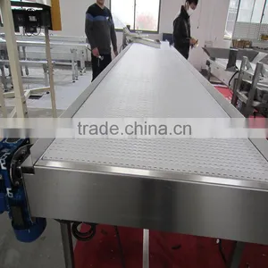 Food Grade PP Belt Conveyor System for Different Industries thumbnail-1
