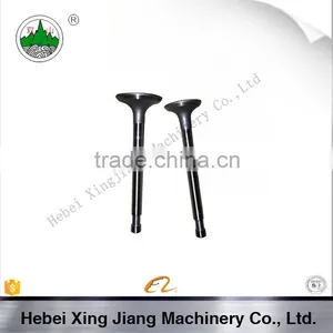 Farm Tractor Diesel Engine Parts R100 Valve thumbnail-1