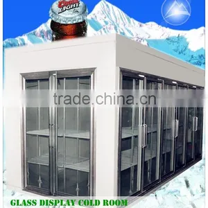 Polyurethane Insulation Glass Door Cold Storage thumbnail-1