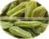 2011 New Crop Sweet Raisin With High Quality and Competitive Price thumbnail-1