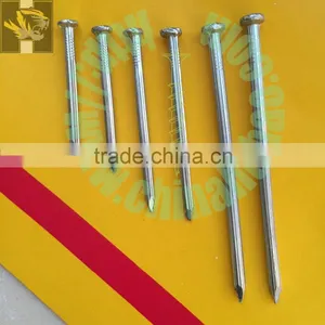 Zinc Plated Popular Sizes Fluted Shank Steel Cement Nails thumbnail-1
