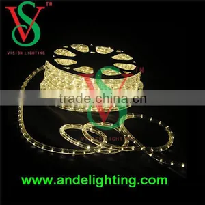 China Manufacturer Led Programmable Rgb Rope Lighting Flexible Led Light thumbnail-5