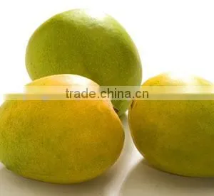 Fresh Alphonso Mangoes Exporters in India thumbnail-1
