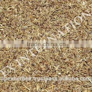 Anthem Graveolens Seeds TBC / Exporter of Anthem Graveolens / Dill Seeds / Suwa thumbnail-3