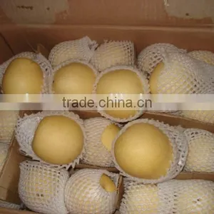 Chinese Gold Pear,round Pear thumbnail-3