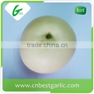 Bulk Fresh Crown Pear From Hebei thumbnail-3