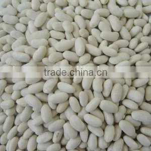 2015 New Crop Price of Baishake White Kidney Beans From China thumbnail-4