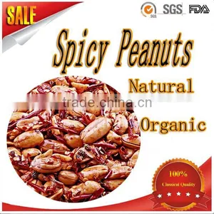 High Quality Spicy Peanuts/Peanuts ( Roasted & Salted Peanuts) Delicious thumbnail-1