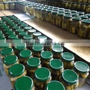 Canned Pickled Baby Cucumbers With Good Price thumbnail-3