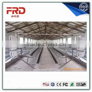 FRD 2016 Poultry Farm Equipment Automatic Battery Design Chicken Egg Layer Cages /bird Cage for Sale/decorative Bird Cages thumbnail-2