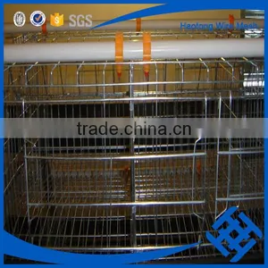 Hot !!! Used Poultry Battery Cages for Sale thumbnail-2