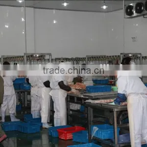Chicken Abattoir House Slaughter Equipment 008618052092685 thumbnail-3