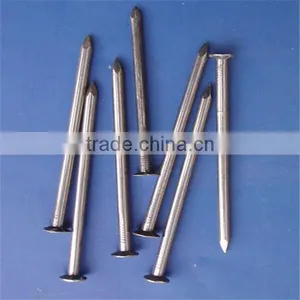 Common Nail / Common Wire Nail / Common Iron Nail thumbnail-3