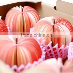 Promotional 3D Fruit Apple, Pear Watermelon Shaped Wholesale Note Paper Fruit Memo Pad thumbnail-1