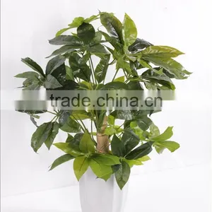 Decoration Bonsai Lucky Tree at Low Price thumbnail-1