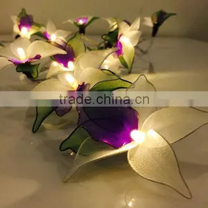Warm White Operated LED String Lights thumbnail-3