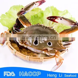 Frozen Whole Crab Seafood thumbnail-2
