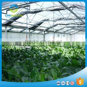 Factory Hot Sales Pc Sheet Greenhouse Used For Vegetable for Sale thumbnail-1