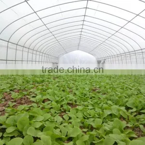 Agriculture Tunnel Vegetables PE Polytunnel Greenhouse for Sale thumbnail-2