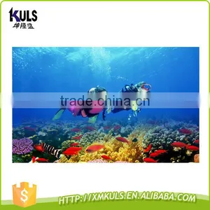 Wholesaler Professional High Quality Swimming Training Diving Flippers for Adults thumbnail-1