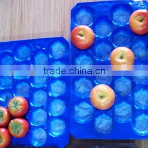 Customizable OEM Available Free Samples Offered Soft Plastic Trays for Fruit Exports With Factory Price thumbnail-4