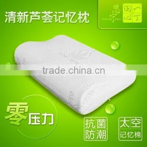 Best Selling Aloe Vera Memory Foam Pillow thumbnail-1