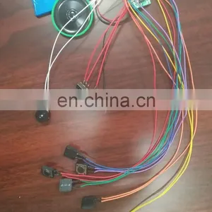 Custom Sound Chip for Toy /clothes and Shoes With Light thumbnail-5
