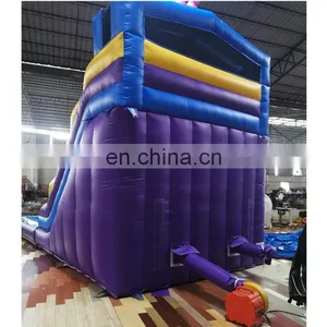 Commercial Rooster Theme Kids Jumping Slide Inflatable Bounce Water Slide On Sale thumbnail-2