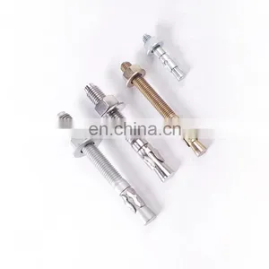 Stainless Steel Anchor Wedge Anchor Bolt and Expansion Anchor Bolt M12 thumbnail-1