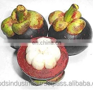 Wholesale Mangosteen Frozen Mangosteen (Garcinia Mangostana Linn) in Thailand thumbnail-3