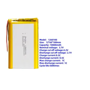 Hot Sales 10000 Mah 1260100 Lithium Polymer Battery Pouch Cell for Power Tools Consumer Electronics & Toys thumbnail-1