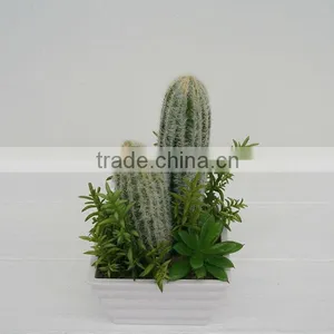 New Arrival Decorative Artificial Plants/ Succulent Plants Mixed Series thumbnail-1