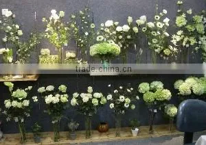 Xiamen Jusfine Products Co., Limited company overview - view 3 thumbnail