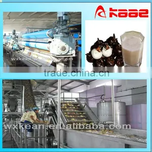 Industrial Automatic Chufa Juice Processing Line thumbnail-1