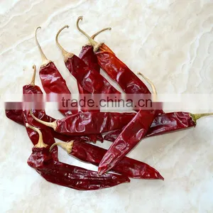 Serve Chinese Dry American Red Hot Chili thumbnail-4