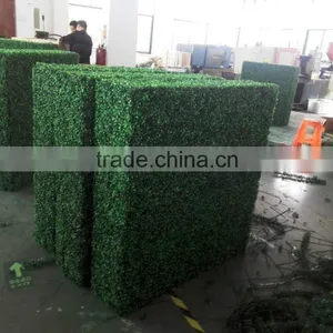 PE Material and Artificial Topiary Hedge Plant Type Outdoor Artificial Boxwood Hedge Quality Choice thumbnail-5
