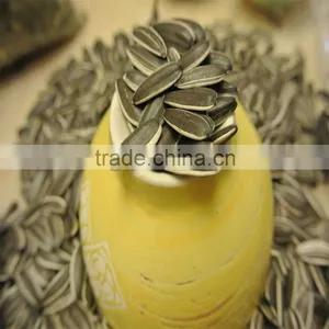 Sunflower Seeds Ton Price High Quality thumbnail-3