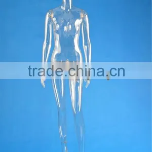 Full Body Transparent Mannequin thumbnail-3
