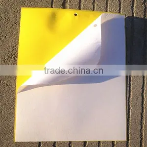Weather Condition Yellow Sticky Hanging Mosquito ,fly ,insects Plastic Glue Trap thumbnail-4