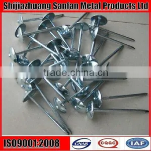 Galvanized Umbrella Head Twisted Shank Roofing Screw thumbnail-1