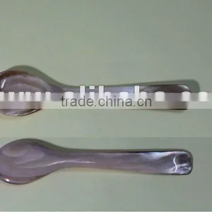 Brown Shell Spoon thumbnail-1