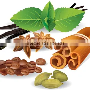 China Supplier of Spices thumbnail-1